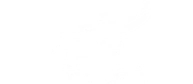 CPFL Energia